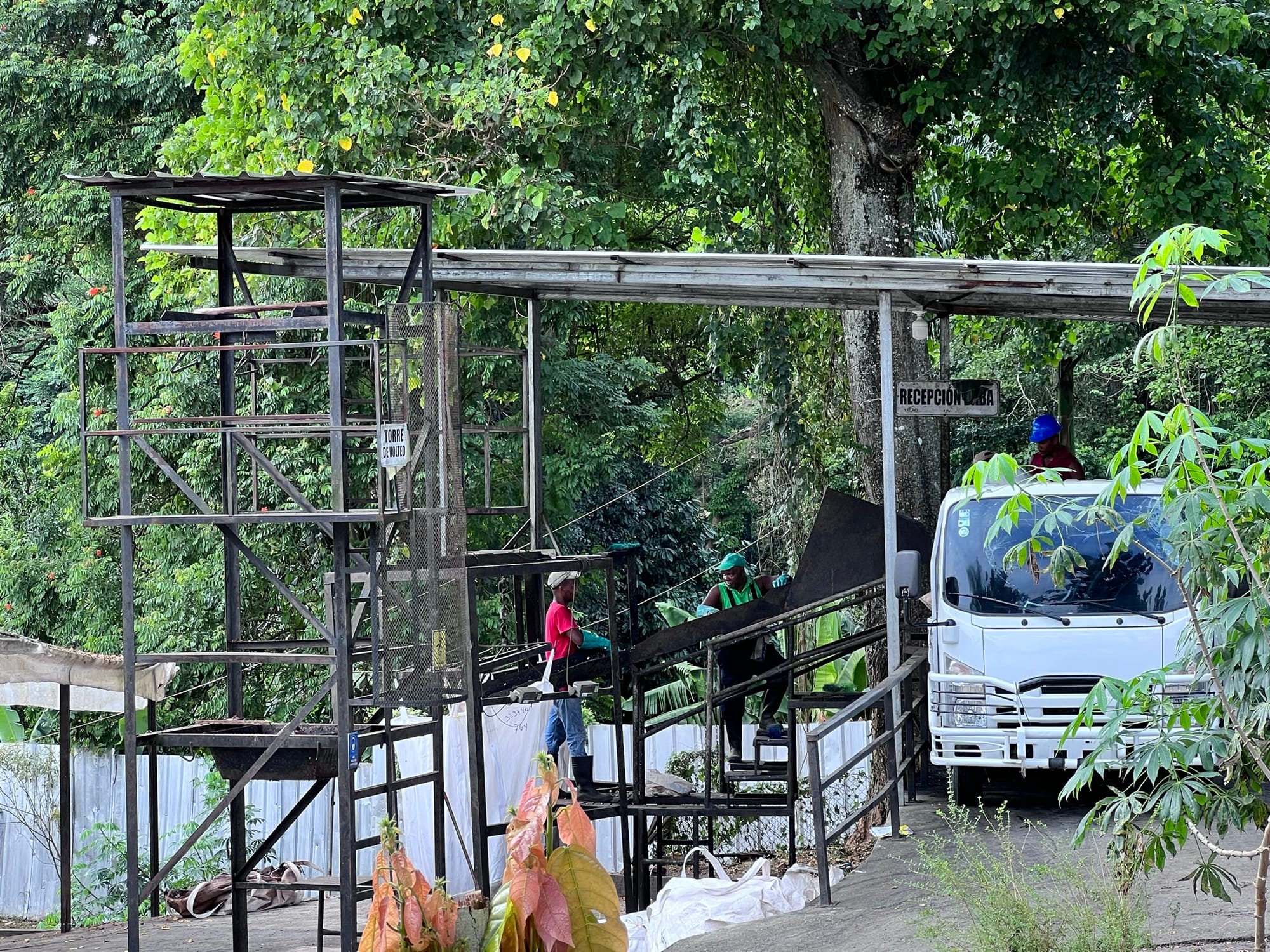 Image shows sacks of wet cocoa beans arrive by lorry at the YACAO plant for drying and fermenting.