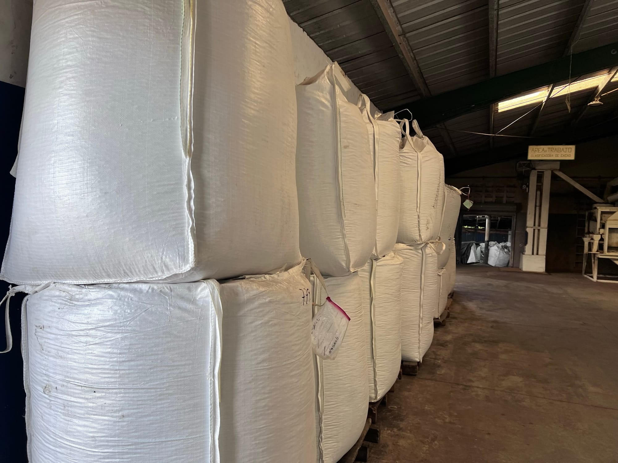 Image shows Organic cocoa beans at the YACAO warehouse ready to be shipped to Europe.