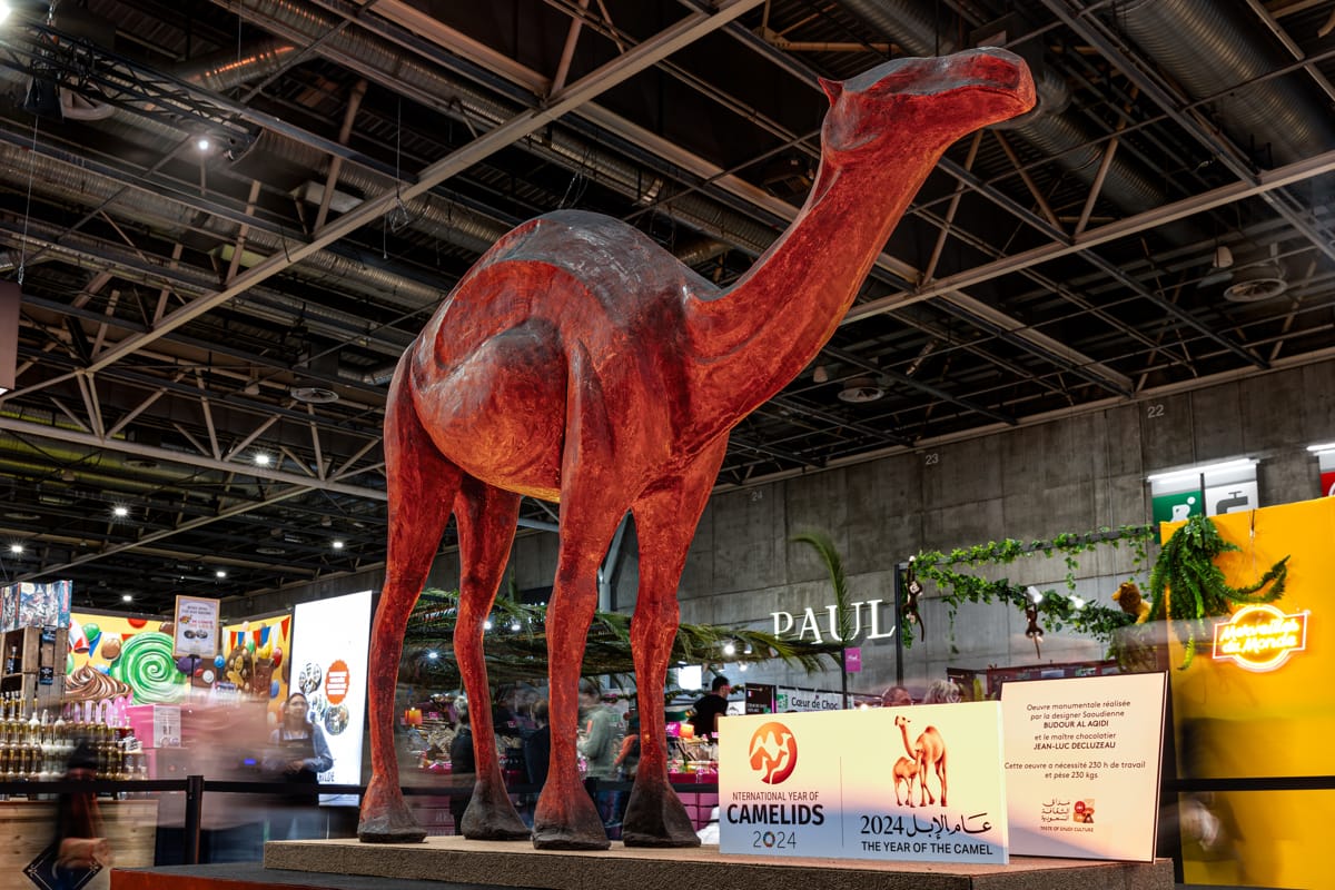 Image shows a full-size chocolat camel 