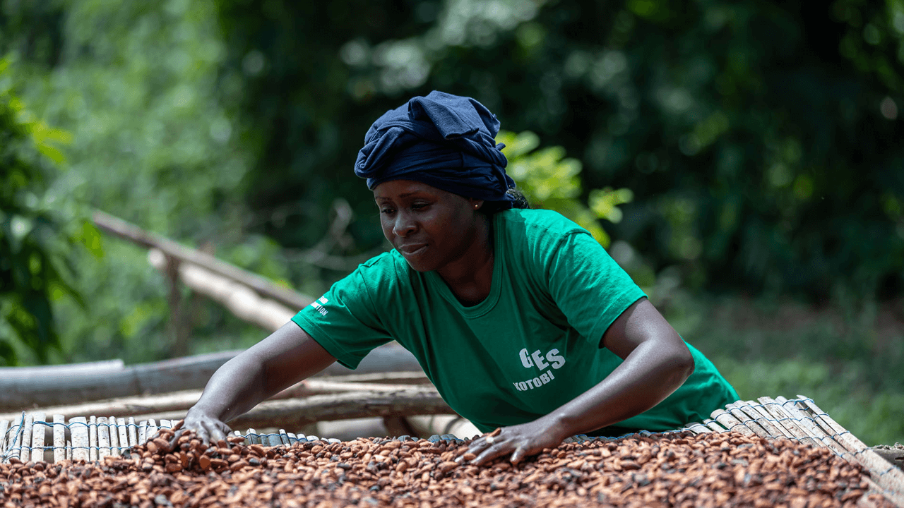 Image shows a female cocoa farming sorting beans in West Africa.