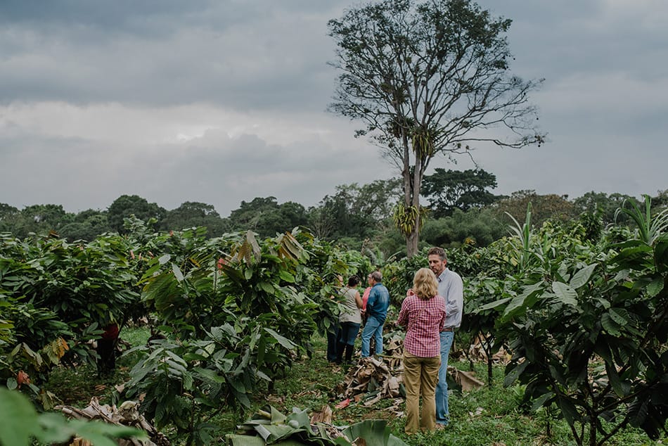 Image shows Members of CocoaActionBrasil inspecting a cocoa farm. Image: CAB