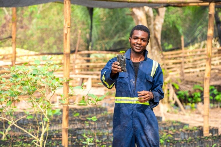 Image show a farmer planting cocoa seedlings support regenerative agriculture