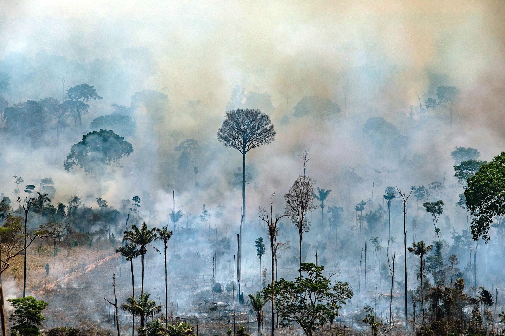 Climate change, poverty, and deforestation are some of the major threats to people and nature in the Amazon. Image: Rainforest Alliance