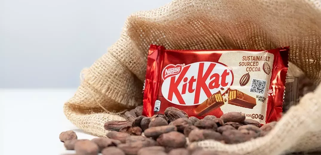 Image shows a KitKat bar inside sack of cocoa beans.
