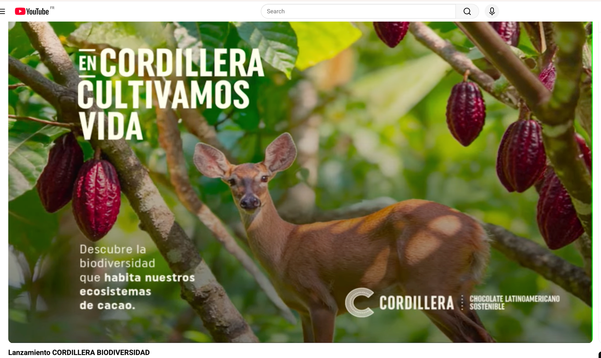 Image shows a screenshot of Cordillera's biodisversity launch on YouTube