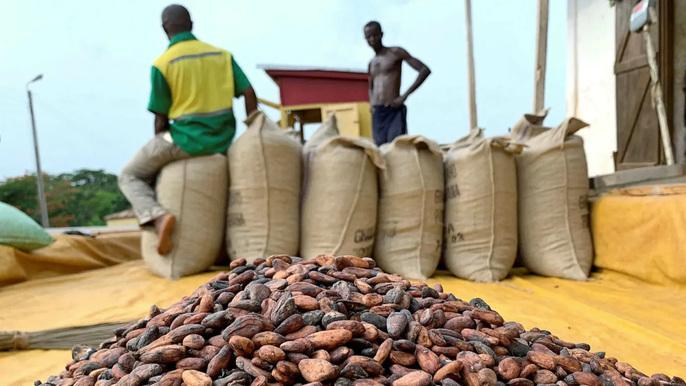 Image shows sacks of cocoa beans at a port ready for transport.