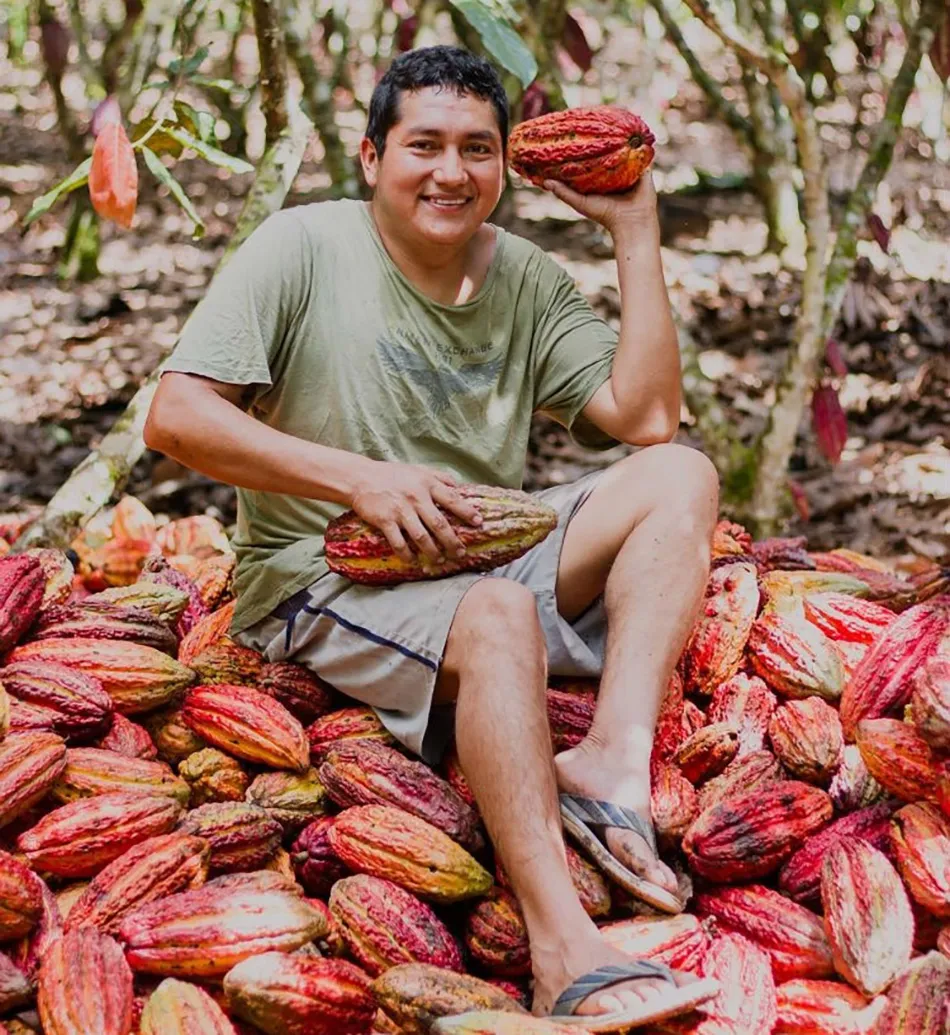 Image shows a Peruvvian cocoa farmers sitiing on cocoa pods.