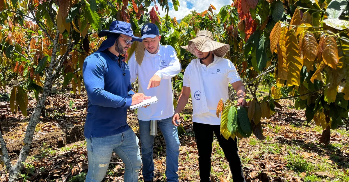 Images shows CNCh’s Purchasing and Agricultural Development Team mapping cocoa farms ready for the EUDR. 