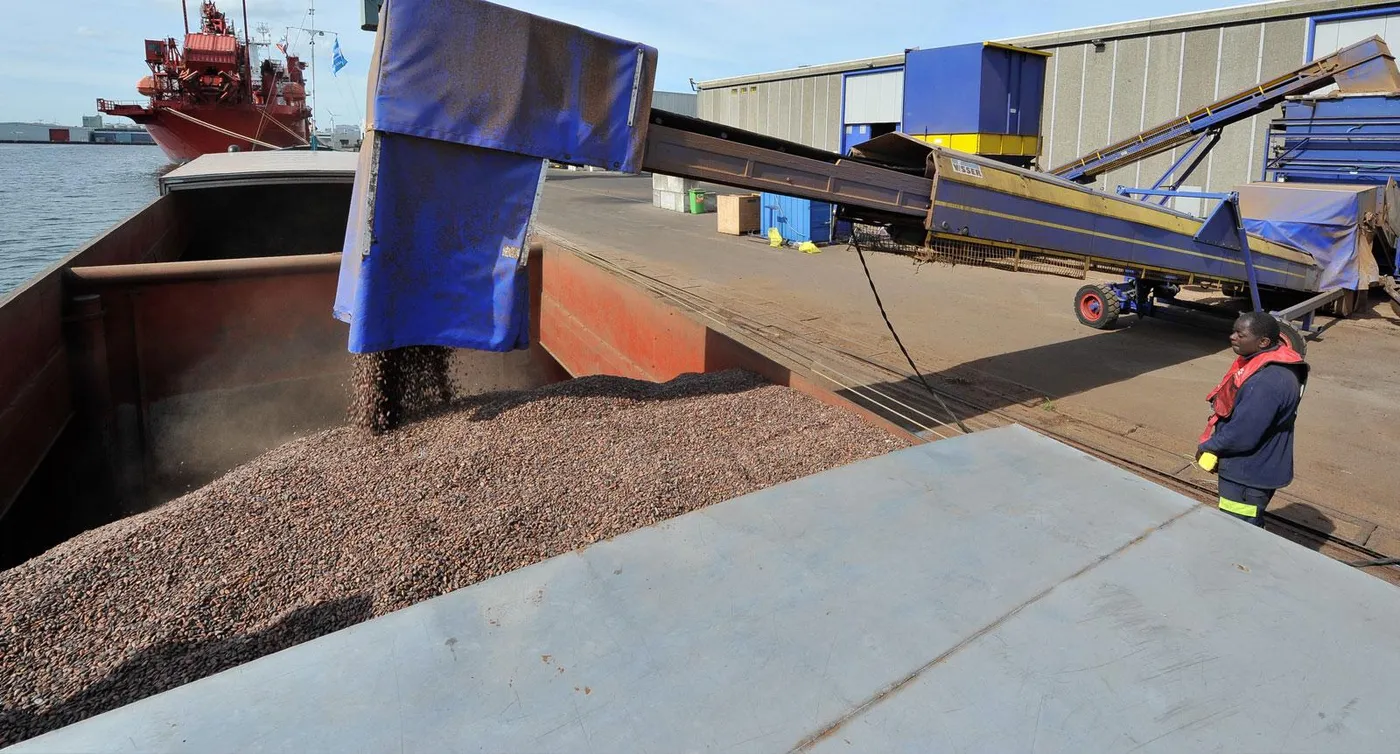 Image shows cocoa beans being loaded onto a ship at the port of Amsterdam