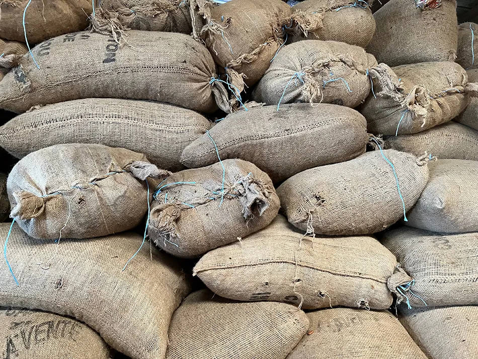 Cocoa economics: ‘It's not the futures markets that are broken, it's the physical market that is broken,’ says Pam Thornton