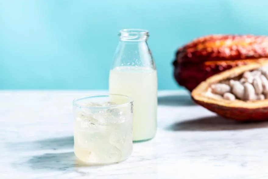 How Companies are Developing Novel Techniques to Extract More From Cocoa Fruit