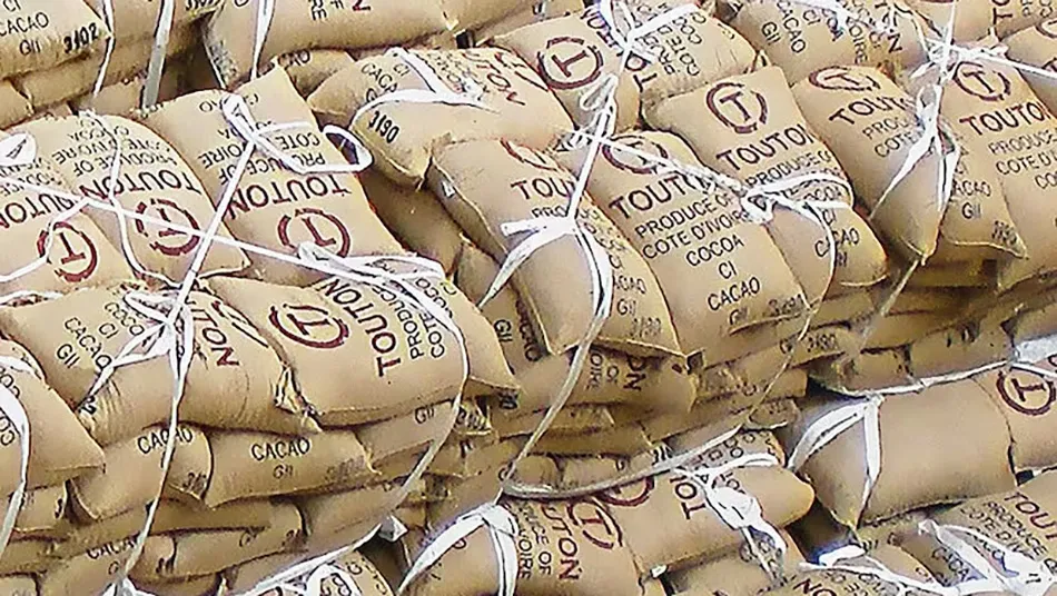 Image shows sacks of cocoa stacked with Touton label