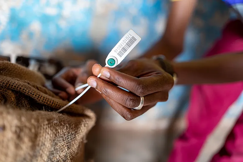 Image shows a cocoa sack being tagged for EUDR compliance