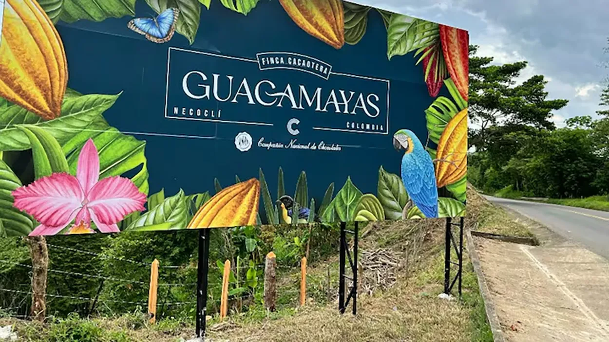 Image shows the Cordillera Chocolate's Guacamayas Training Cocoa Farm in Necoclí