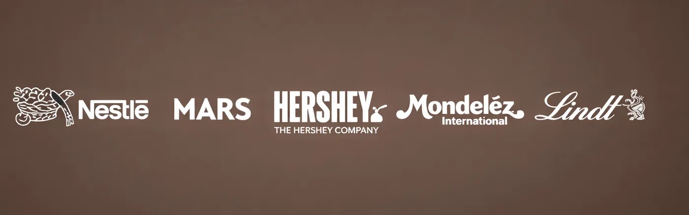 EXCLUSIVE: TogetherCocoa: Rescue Mission for Farmers — or a Cocoa ‘Super League’?