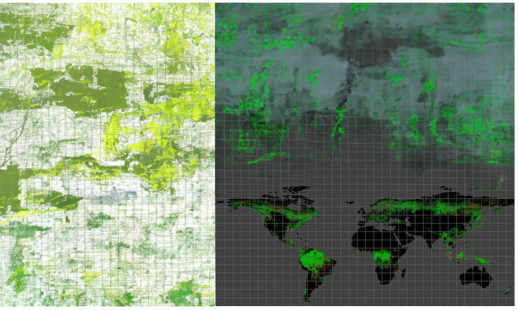 Mapping the EUDR: 10 satellite and imagery providers tracing cocoa farms