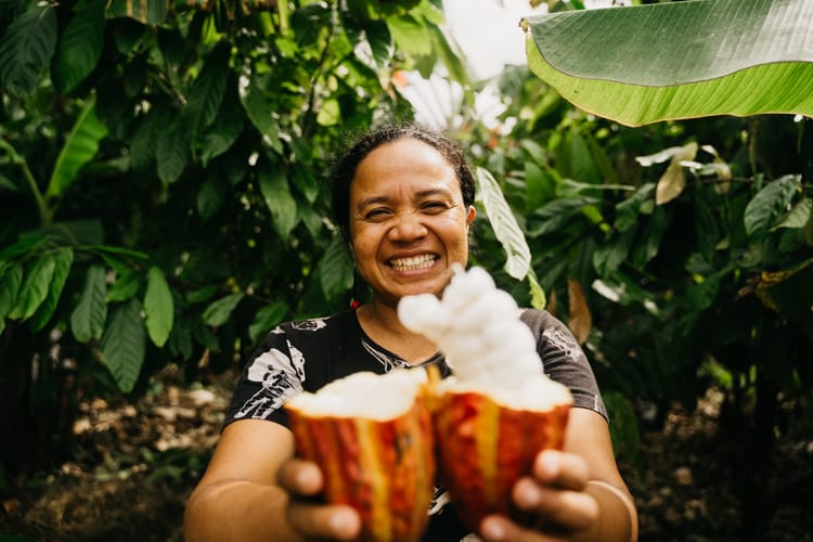 Image shows a smiling female cocoa farmer breaking the pod and displaying the beans inside