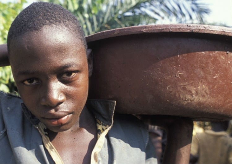 Image shows a young boy in Africa engaged in child labour on a cocoa farm.