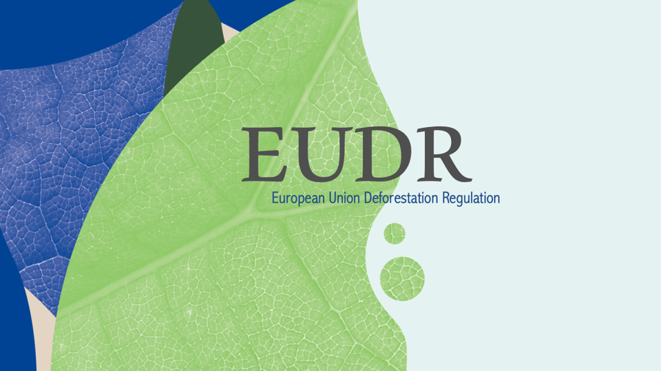 Image shows EUDR graphic