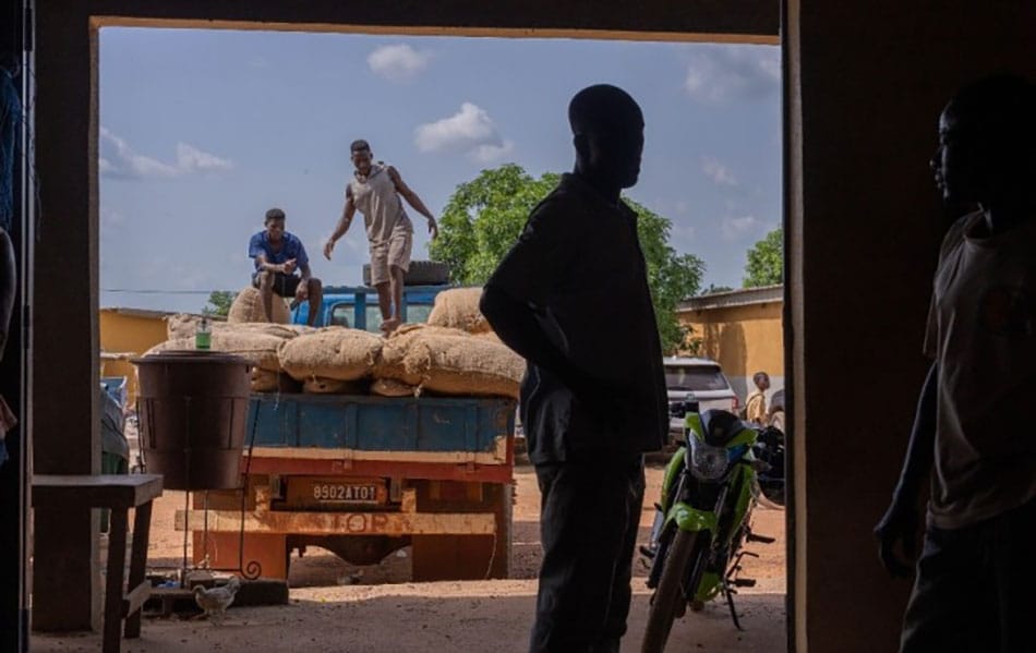 Image shows farmers loading sacks of cocoa onto a lorry to go to the Cocobod warehouse in Ghana.