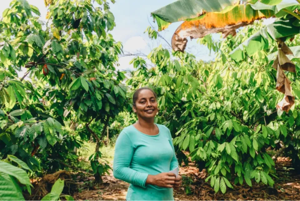 Image shows A female cocoa farmer in Colombia inspecting her cocoa farm.